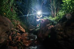 BIB: 
                            <button type="button" onclick="openModal(26416483)" class="btn btn-primary btn-sm float-right btn-popup" data-toggle="modal" data-target=".modal-high-quality">
                        <i class="fas fa-shopping-cart"></i> Add to Cart
                    </button>
                                            <button type="button" onclick="isThisMe(26416483, true)" class="btn btn-success btn-sm float-right btn-popup btn-isme hidden" data-toggle="tooltip" data-placement="bottom" title="นี่คือรูปของคุณใช่ไหม คลิกที่นี่เพื่อเอาเข้าอัลบั้ม">
                        <i class="fas fa-plus"></i> Add to album
                    </button>
                    <button type="button" onclick="isThisMe(26416483, false)" class="btn btn-warning btn-sm float-right btn-popup btn-isnotme hidden">
                        <i class="fas fa-ban"></i> Remove from album
                    </button>